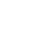 RSM-100