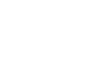 SAPS-100